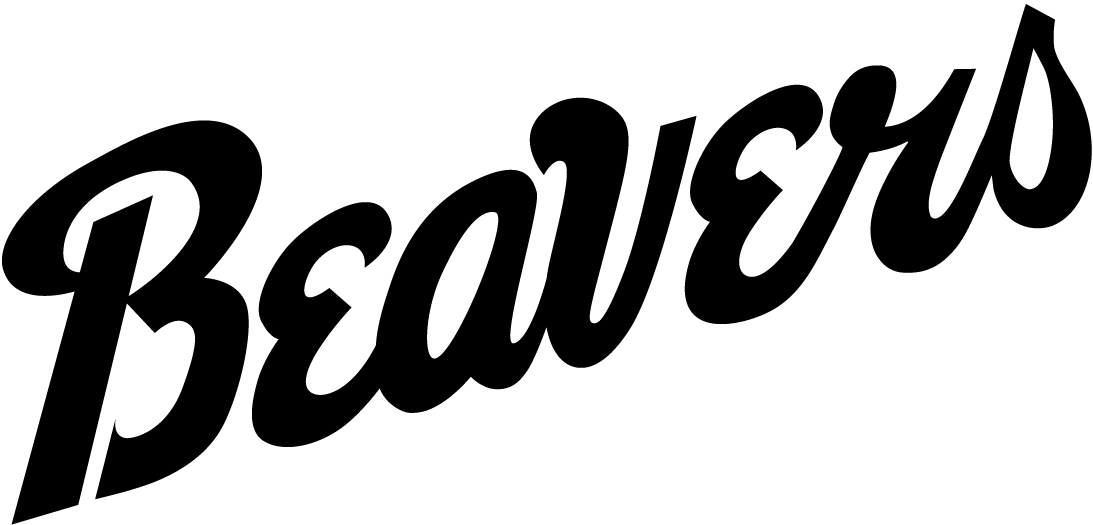 Bemidji State Beavers 2004-Pres Wordmark Logo v2 iron on transfers for T-shirts